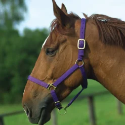 Norton Leather Lined Nylon Headcollar