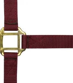 Norton Leather Lined Nylon Headcollar