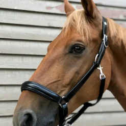Norton Pro Anatomical Head Collar