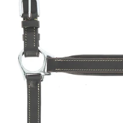 Norton Pro Grooming Leather Headcollar