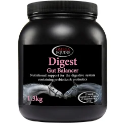 Omega Digest