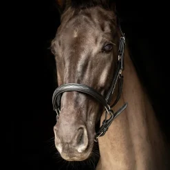 ProPresicce Softy Leather Head Collar by Hy Equestrian