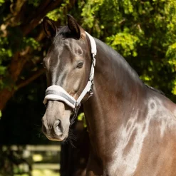 ProReaction Dura Fleece Head Collar by Hy Equestrian