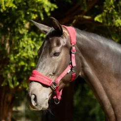 ProReaction Dura Fleece Head Collar by Hy Equestrian
