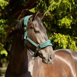 ProReaction Dura Fleece Head Collar by Hy Equestrian