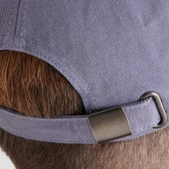 Ridgeline Signature Cap