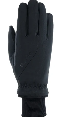 Roeckl Hausruck Gloves