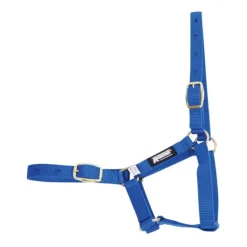 Roma Foal Headcollar