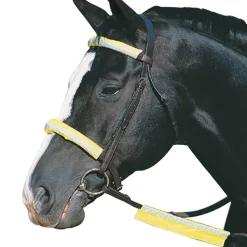 Roma Reflective Bridle Kit