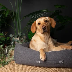 Scruffs Eco Eden Box Bed