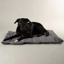 Scruffs Expedition Roll Up Travel Pet Bed