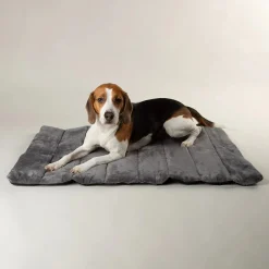 Scruffs Expedition Roll Up Travel Pet Bed