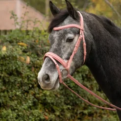 Serena Bridle by Little Rider
