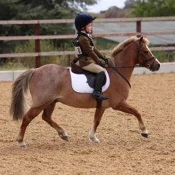 Shires Aubrion Saratoga Children's Jacket