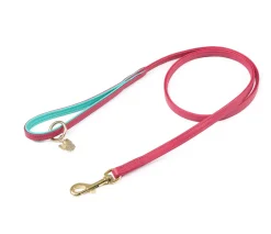 Shires Digby & Fox Padded Leather Dog Lead
