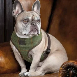 Shires Digby & Fox Tweed Dog Harness