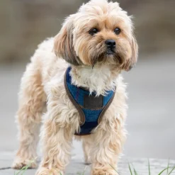 Shires Digby & Fox Tweed Dog Harness