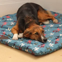 Shires Digby & Fox Waterproof Padded Dog Bed