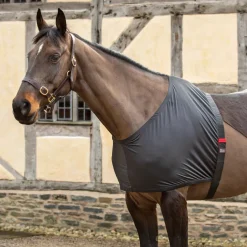 Shires Anti-Rub Stretch Vest