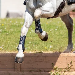 Shires ARMA Carbon Training Boots