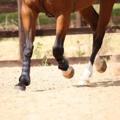 Shires ARMA Carbon Training Boots