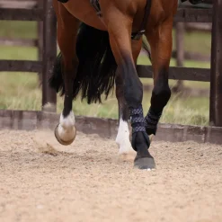 Shires ARMA Carbon Training Boots