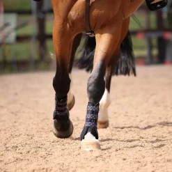Shires ARMA Carbon Training Boots