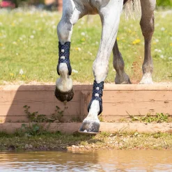 Shires ARMA Carbon Training Boots