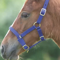 Shires ARMA Foal Headcollar