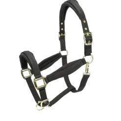 Shires ARMA Padded Headcollar