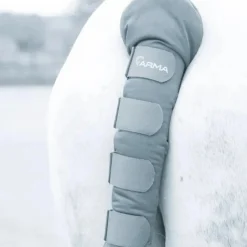 Shires ARMA Padded Tail Guard