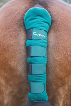 Shires ARMA Padded Tail Guard