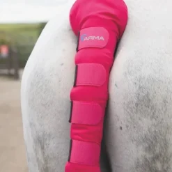 Shires ARMA Padded Tail Guard
