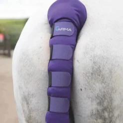 Shires ARMA Padded Tail Guard