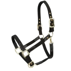 Shires ARMA Porto Headcollar