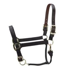 Shires ARMA Premium Adjustable FieldSafe Headcollar