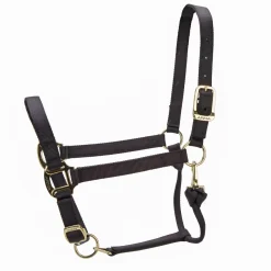 Shires ARMA Premium Adjustable Headcollar