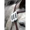 Shires Competition Number Kit