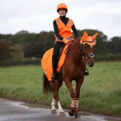 Shires EQUI-FLECTOR Mesh Exercise Sheet