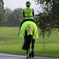 Shires EQUI-FLECTOR Mesh Exercise Sheet