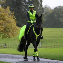 Shires EQUI-FLECTOR Mesh Exercise Sheet