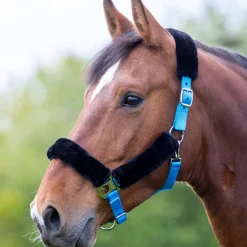Shires Fleece Lined Headcollar
