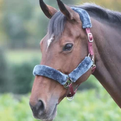 Shires Fleece Lined Headcollar