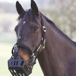 Shires Greenguard Headcollar
