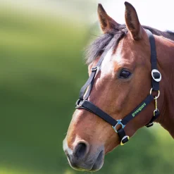 Shires Greenguard Headcollar