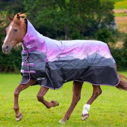 Shires Highlander Original 100g Combo Turnout Rug