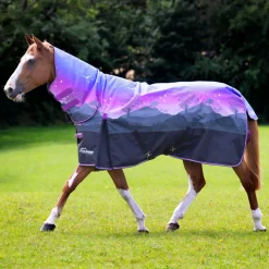 Shires Highlander Original 100g Combo Turnout Rug