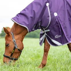 Shires Highlander Original 100g Combo Turnout Rug