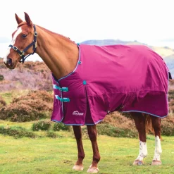 Shires Highlander Original 300g Turnout Rug