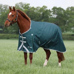 Shires Highlander Original 300g Turnout Rug